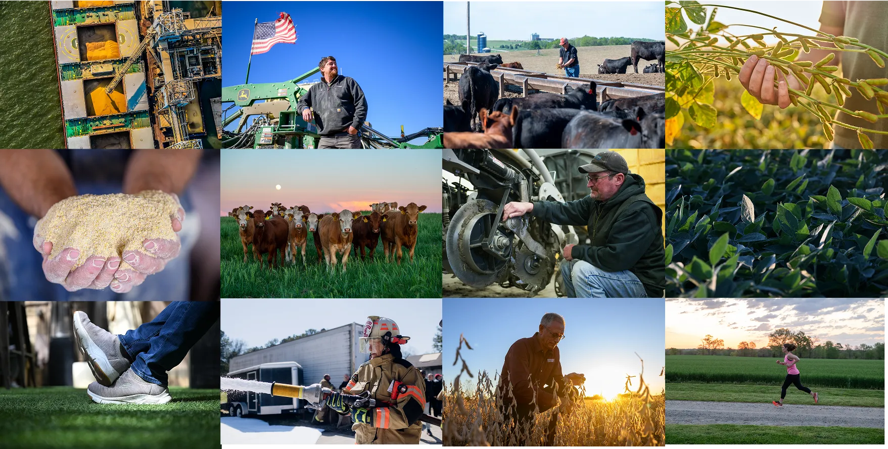 collage of various images