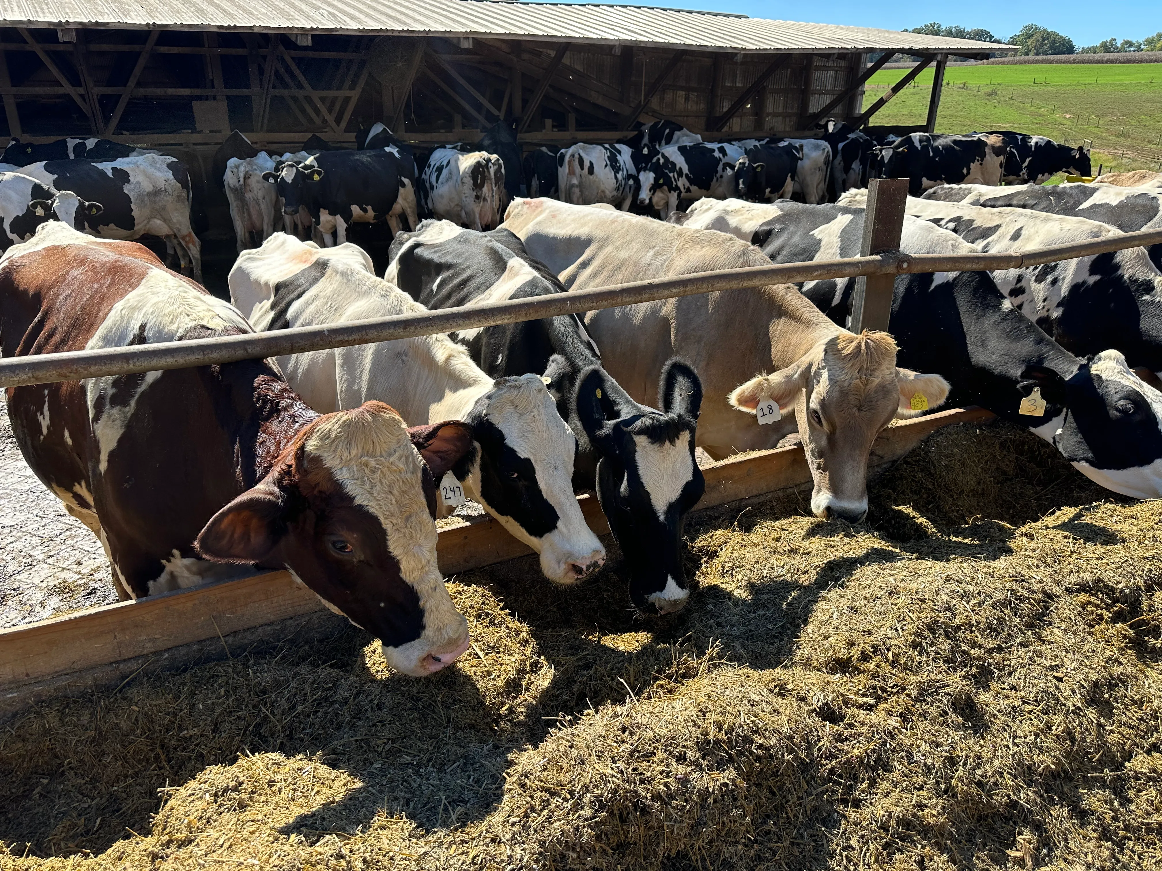 Trade Tensions, Tariffs, and Trust: Farmers Are Connecting with Conversations