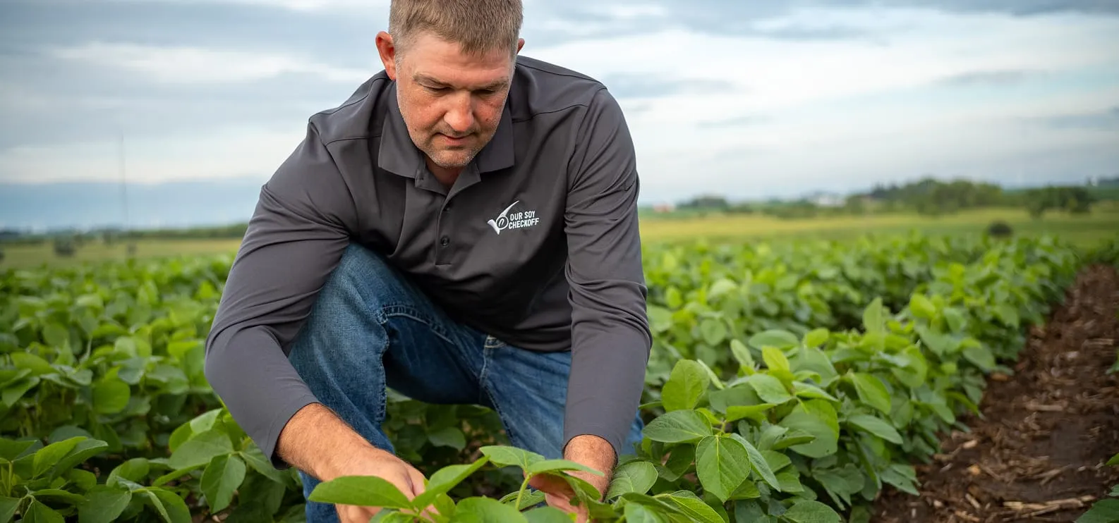 A soy farmer in his field