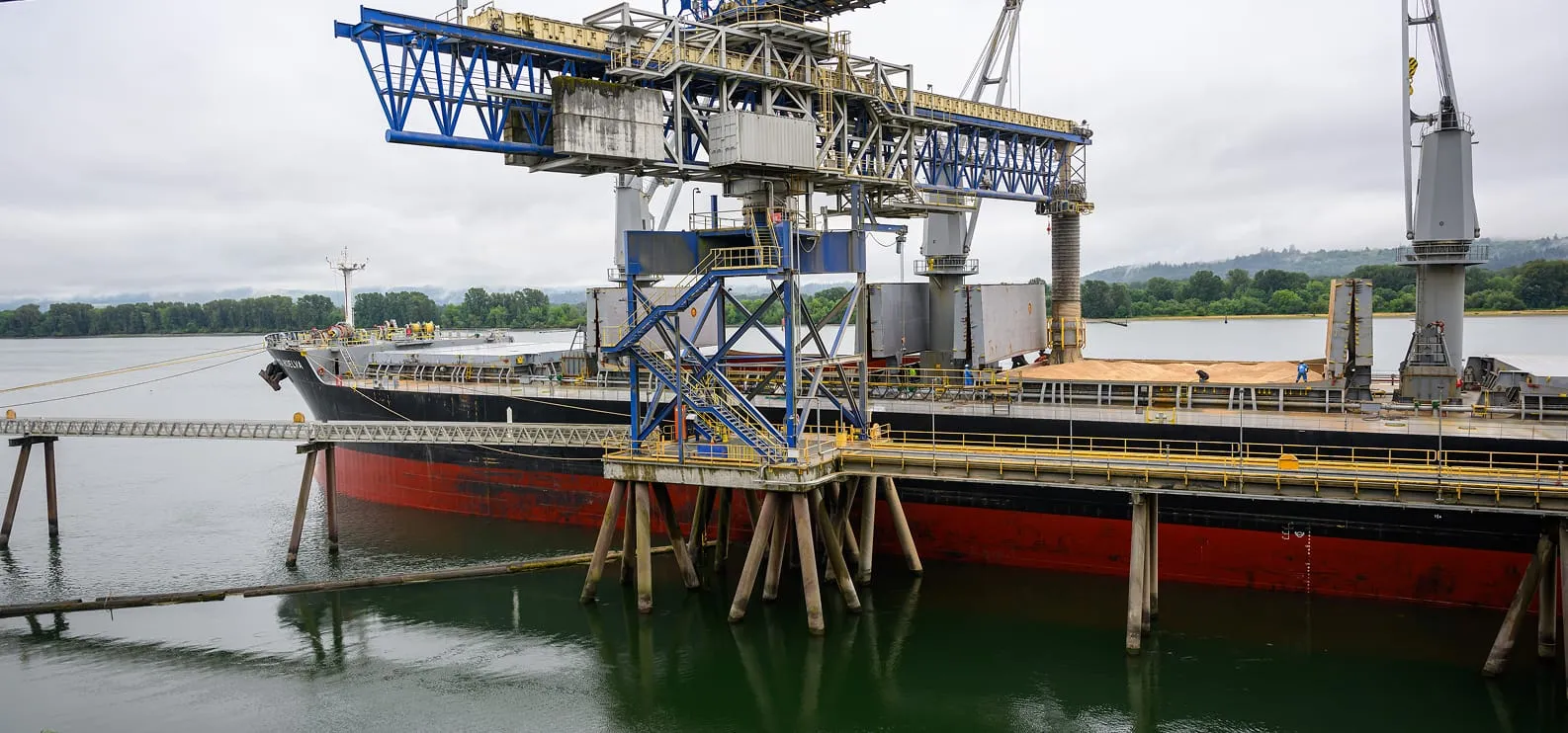 A cargo ship transporting soy beans