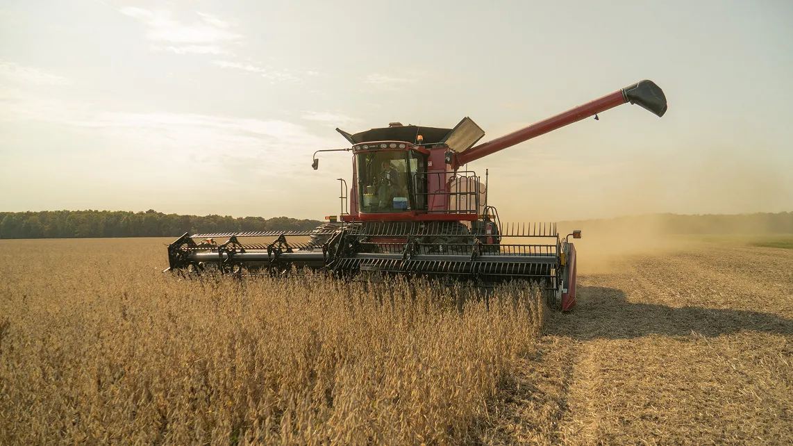 harvester harvesting wheat head-on shot